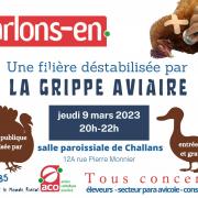 La grippe aviaire ses consequences